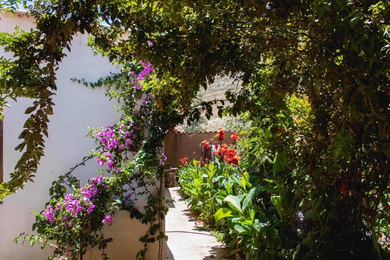 Hostal Wilma Torotoro Ngoại thất bức ảnh